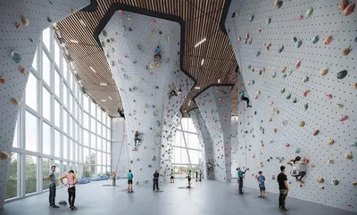 Wall Climbing