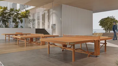 Table Tennis Court