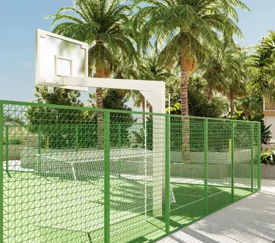 Basketball Court