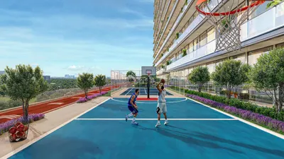 Basketball Court