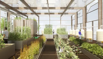 Urban Farm