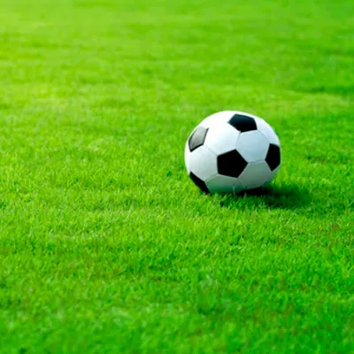 Soccer Pitch