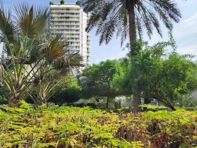 Landscaped Gardens