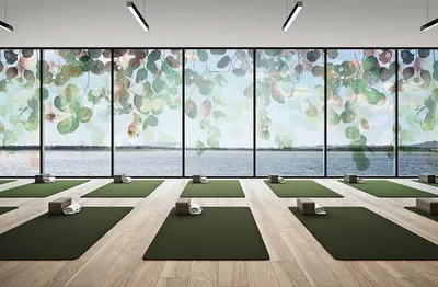 Indoor Yoga Studio