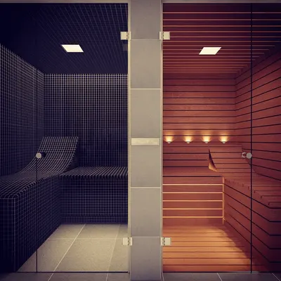 Sauna/Steam Room