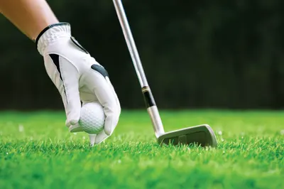 Golfing Zone