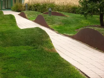 Wavy Lawn