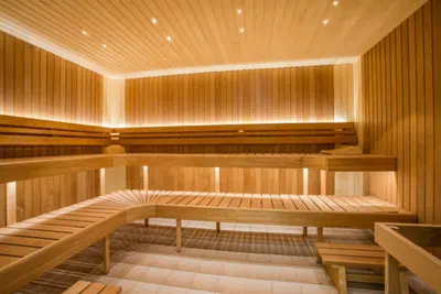 Sauna & Steam