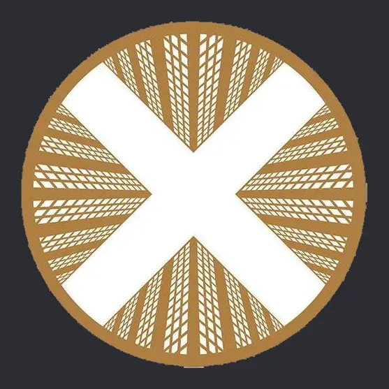 TownX Development logo