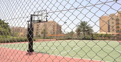 Basket-Ball-Court