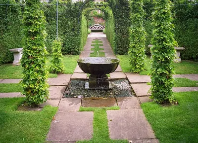Foliage And Water Features