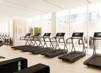 Modern Gym