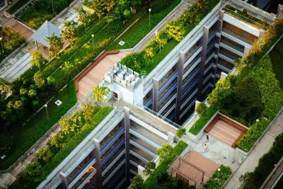 Rooftop Garden