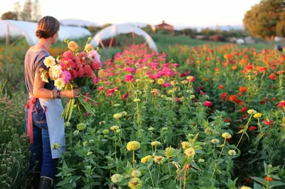 Flower Farm