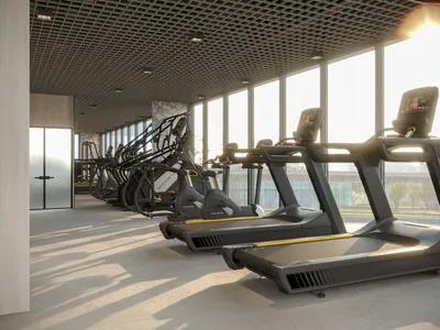 Gymnasium