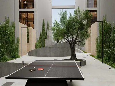 Ping Pong