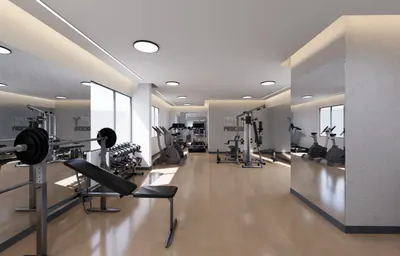 Gymnasium