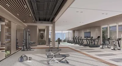 Gymnasium