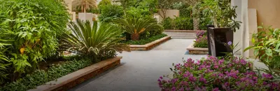 Landscaped Gardens