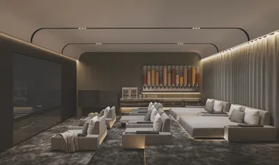 8 To 10 Fully-Equipped Cinema With Acoustic Fittings