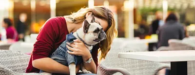 Pet-Friendly